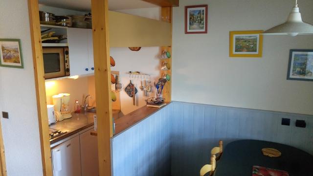 Flats LES CHOUCAS - Plagne Montalbert