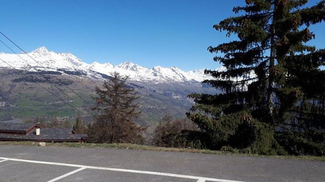 Flats LE DOMINO - Plagne - Les Coches
