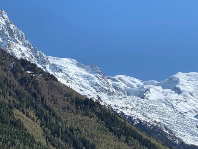 Flat Le Paccard - Chamonix Centre