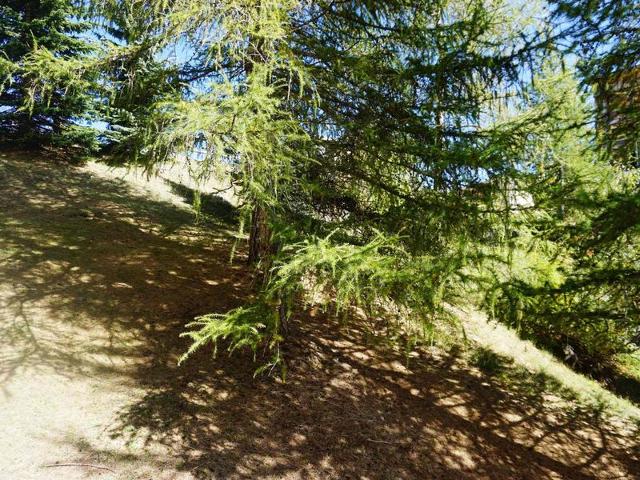 Studio 27 m² - 4 personnes RPP1 n° 144 - Orcières Merlette 1850