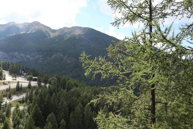 Appartement Le Belvedere 293 - Les Orres