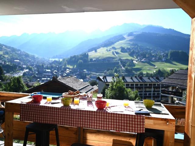 2 CHAMBRES PROCHE PISTE ET COMMERCES - La Clusaz