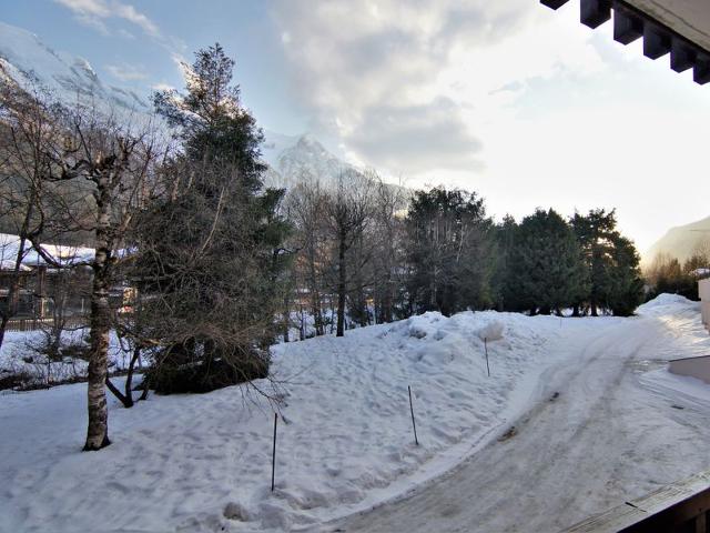 Flat Arve 1 et 2 - Chamonix Sud