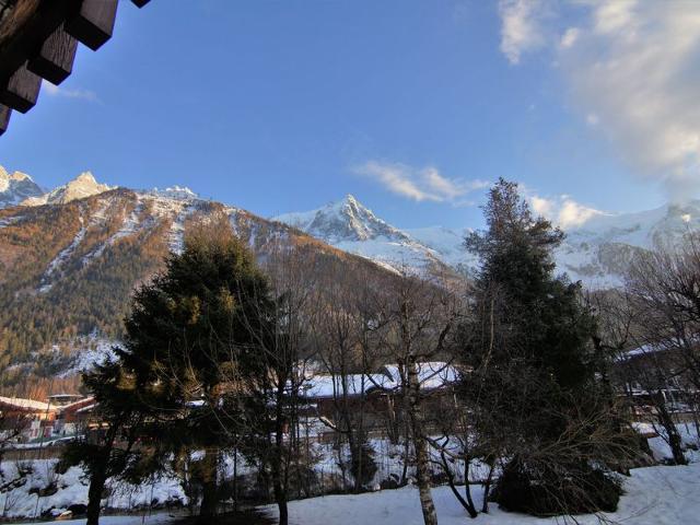 Flat Arve 1 et 2 - Chamonix Sud