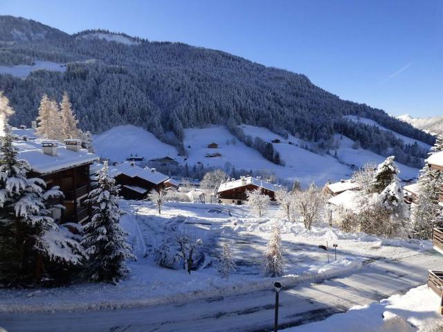 Joli studio pour 4 personnes au Grand Bornand ! - Le Grand Bornand