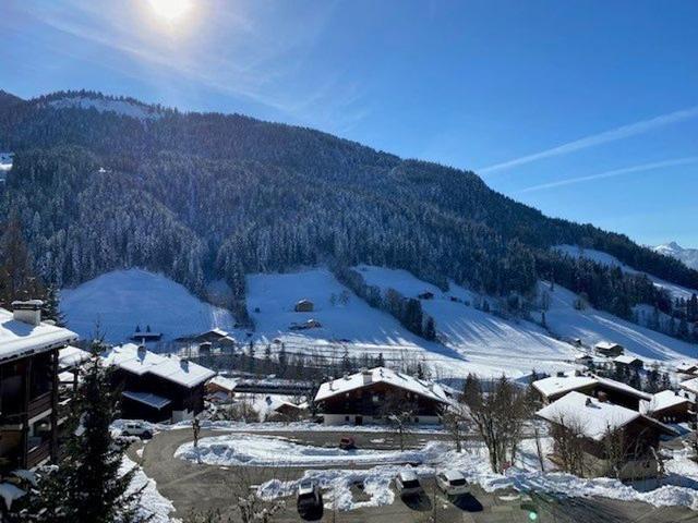 Joli studio pour 4 personnes au Grand Bornand ! - Le Grand Bornand