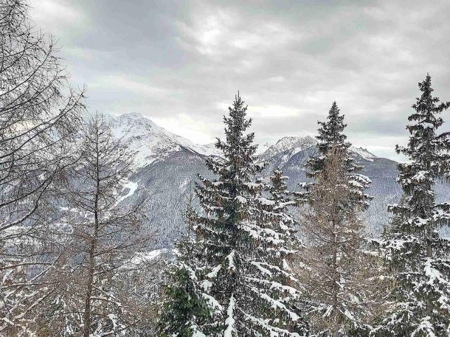 travelski home choice - Flats DIAMANT DES CIMES - La Rosière