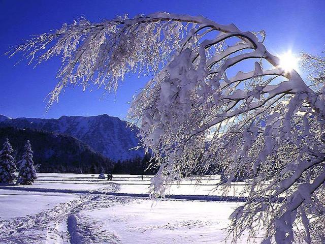 Appartement proche crêche et jardin d'enfants - Chamrousse