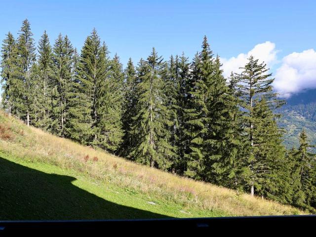 NOUVEAUTE ! Nid Douillet renové ski aux pieds ! - Courchevel 1550