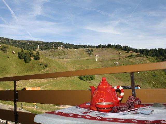 superbe appartement esprit chalet au pierd des pistes - Chamrousse