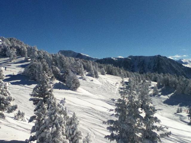 superbe appartement esprit chalet au pierd des pistes - Chamrousse