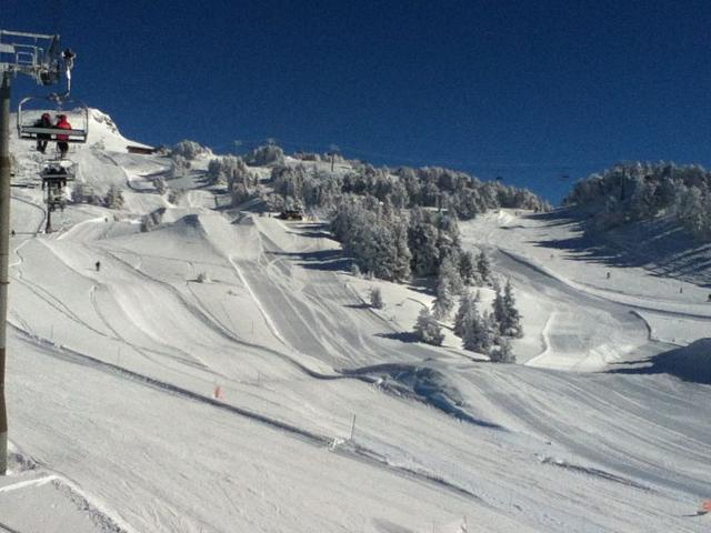 Belle terrasse sud - Chamrousse