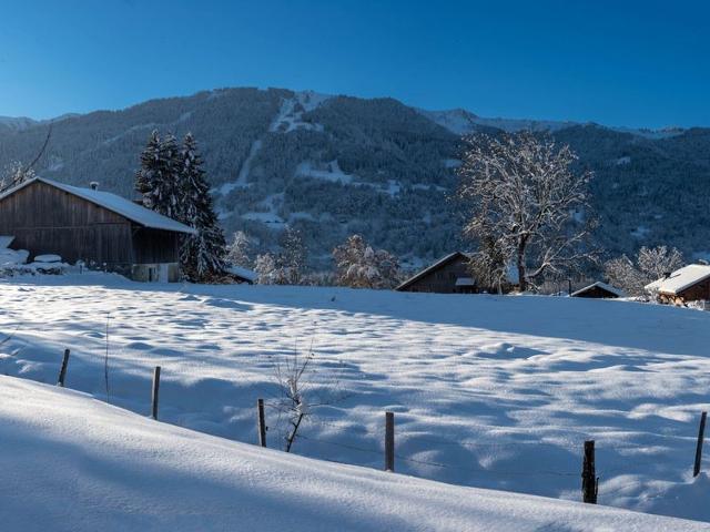 Samoëns - 4 pers, 39 m2, 2/1 - Samoëns
