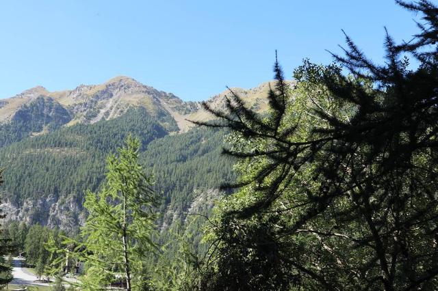 Appartement Le Belvedere 313 - Les Orres