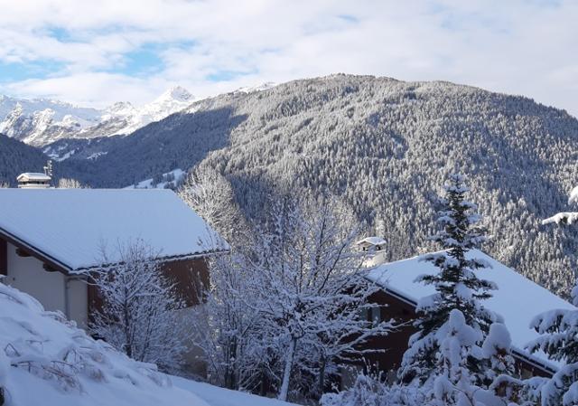 Les Chalets des Deux Domaines - Plan Peisey
