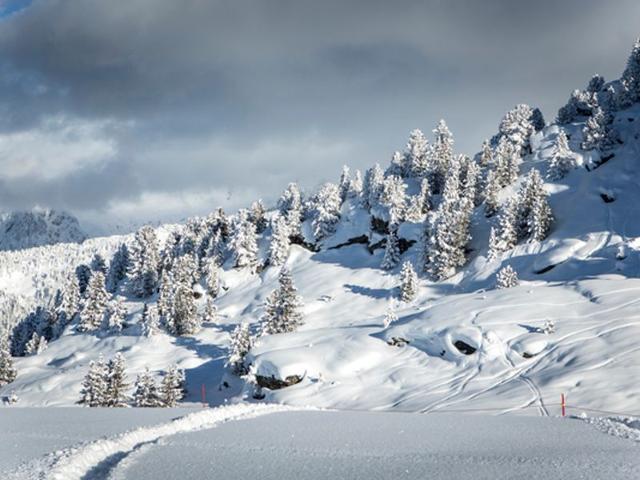 Charmant appartement idéal pour vacances en famille - Courchevel 1550