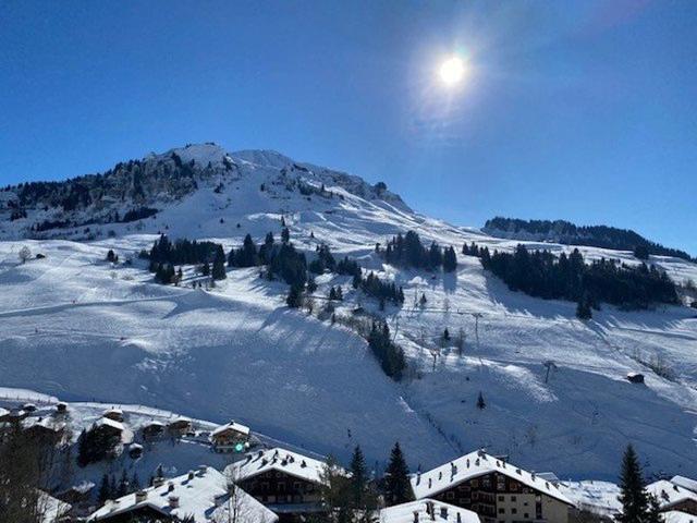 Lumineux Studio + coin montagne de 23m² - Le Grand Bornand