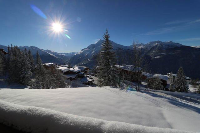 Appartement Vanoise VAN213 - La Rosière