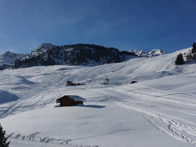 Appartement lumineux aux pieds des pistes de 1650 - Courchevel 1650
