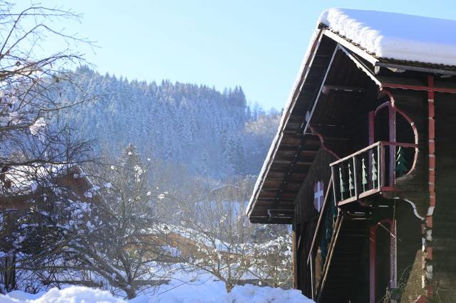 Flat Grande Neige N°36 - 2P4 - Morillon 1100 Les Esserts