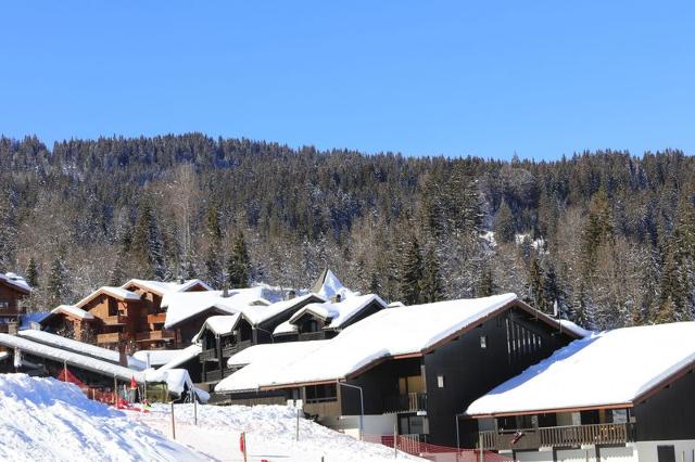 Flat Grande Neige N°36 - 2P4 - Morillon 1100 Les Esserts