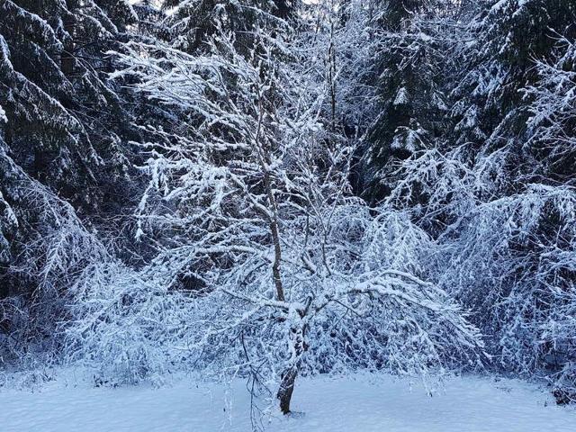 2 pièces avec vue sur les Vallons, dans la Résidence le Grand Tétras - Samoëns