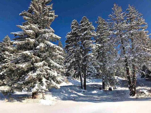 Studio avec vue sur les pistes - Chamrousse