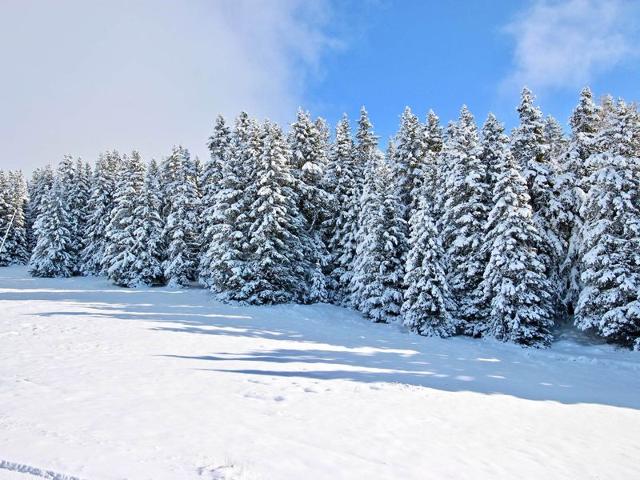 Studio avec vue sur les pistes - Chamrousse