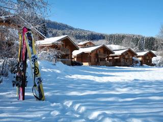 Flat Bois de Champelle - Morillon Village