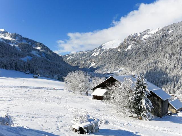 Flat Le Grand Lodge - Châtel