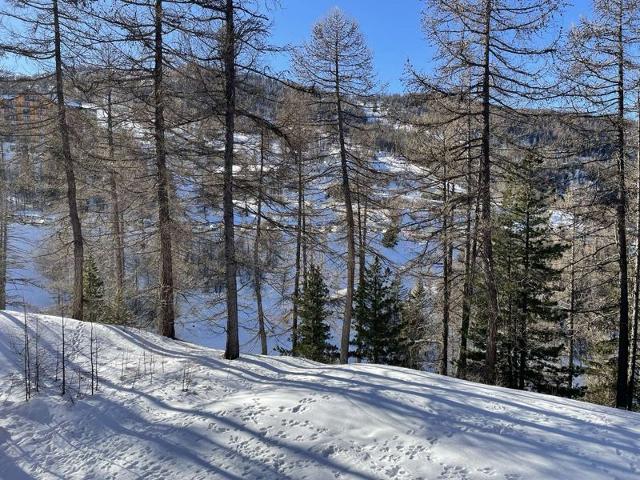 Appartement Belvedere RSL320-108 - Risoul