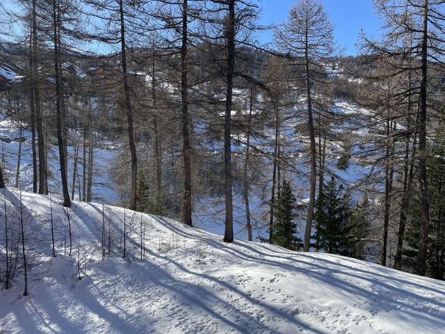 Appartement Belvedere RSL320-108 - Risoul