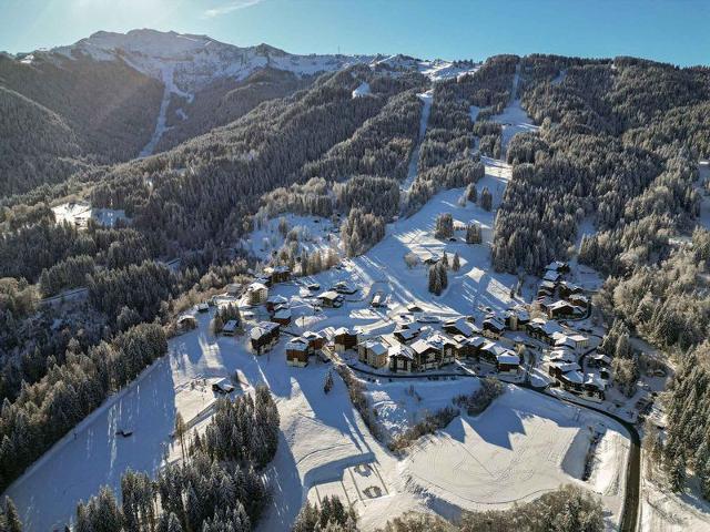 2 piècess 6 personnes - Morillon Village