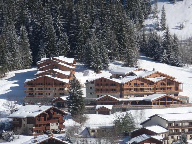 Appartements HAUTS DE LA VANOISE - Pralognan la Vanoise