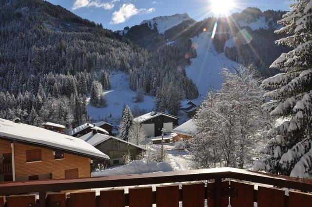 Chalet du PERTHUIS - Châtel