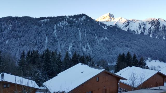 Chalet LES GRENIERS (CHEZ DENIS) - Châtel