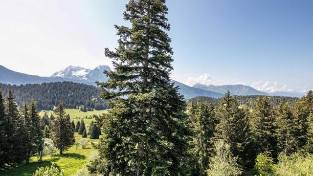 Studio V du Bachat Sorbiers E N°32 - ST6 - Chamrousse