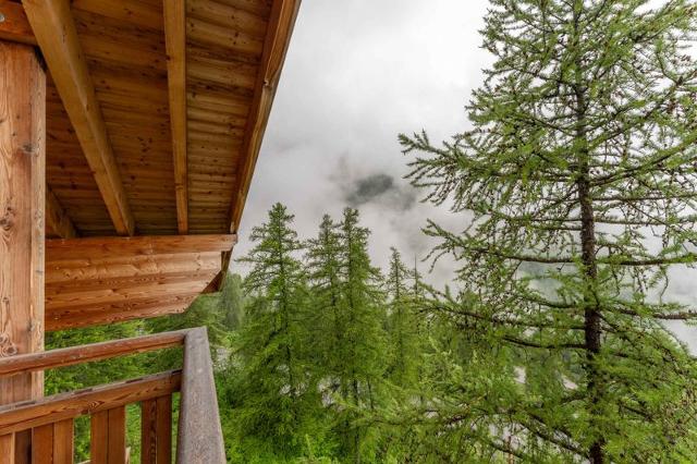 Appartements LE BALCON DES AIRELLES - Les Orres