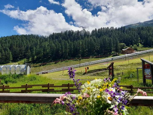 Appartements LE PARC DES AIRELLES - Les Orres