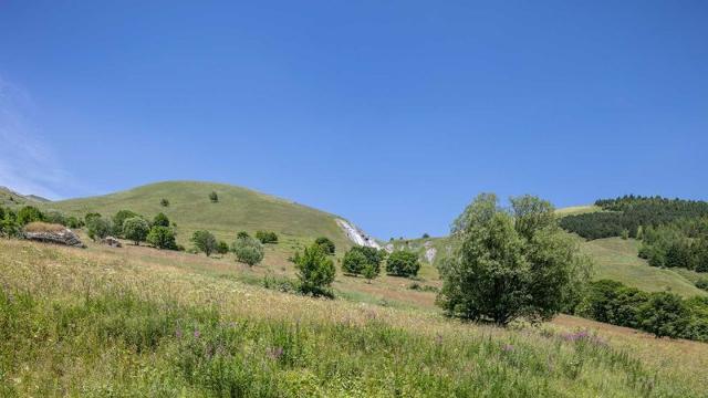 Flat Les Marmottes N°34 - 3P6 - Saint Sorlin d'Arves