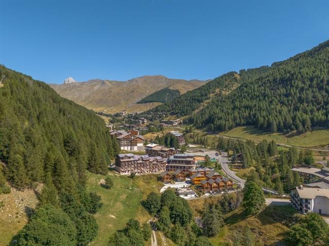 Flat Central Park N°316 - 3P6 - La Foux d'Allos