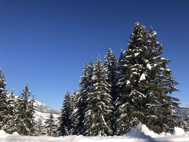 Appartement Lauziere Dessous LAUZDO10TAR - Valmorel