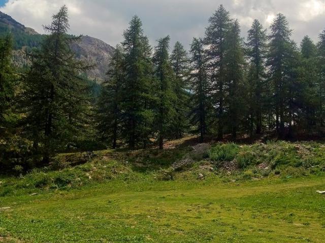 Chalet Le Monêtier-les-Bains, 5 pièces, 18 personnes - Serre Chevalier 1500 - Monêtier Les Bains
