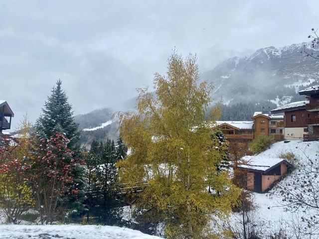 Appartement Souche SOUC09ENS - Valmorel