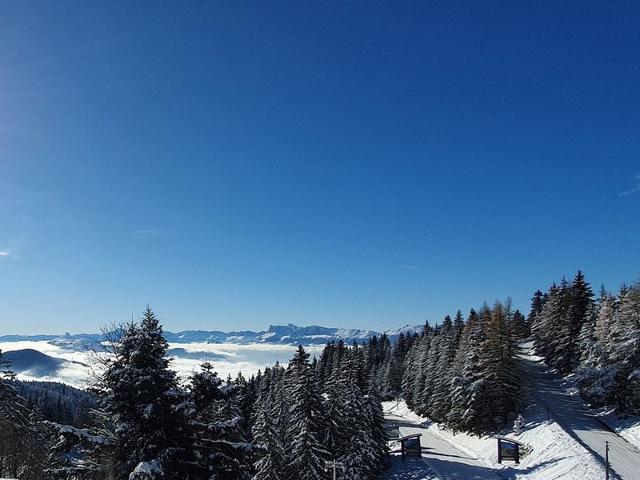 Appartement Chamrousse, 3 pièces, 8 personnes - Chamrousse