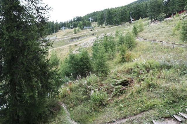 Appartement Le Pouzenc PZC209 - Les Orres