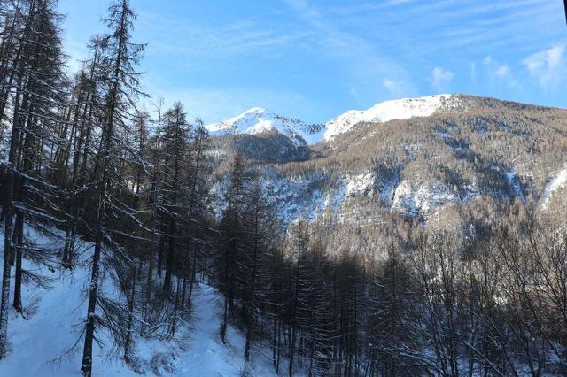 Appartement Aupillon 421 - Les Orres