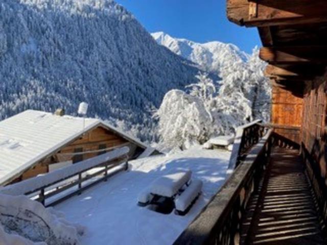 Chalet la MIETTE - Châtel