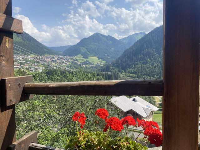 Chalet la MIETTE - Châtel