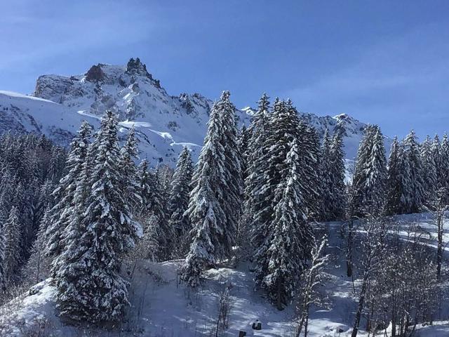 Appartement Prariond PRAR12MOU - Valmorel